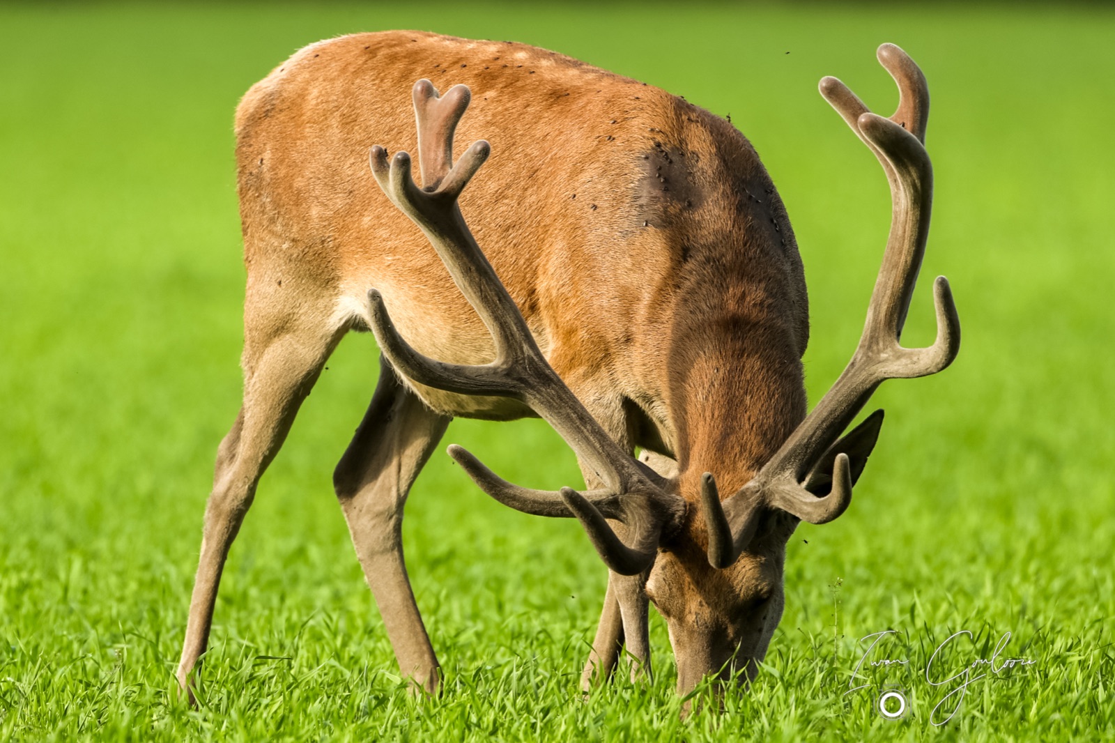 12 juni 2022 185957 1DX47343